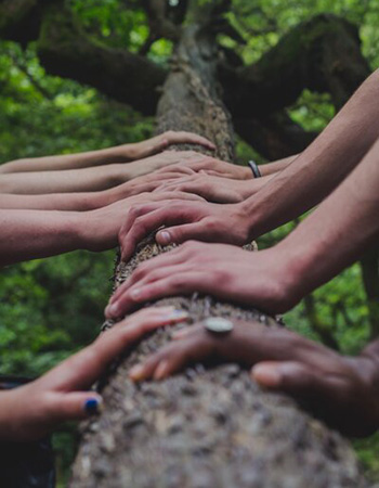 Hands of several different people are shown holding a log in a forest